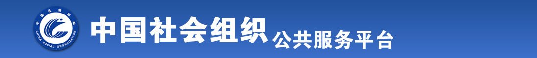 吊逼链接全国社会组织信息查询